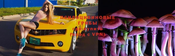 а пвп мука Радужный