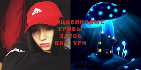 Альфа ПВП Тихвин